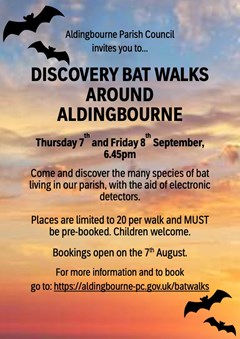 bat-walks-posterjpg