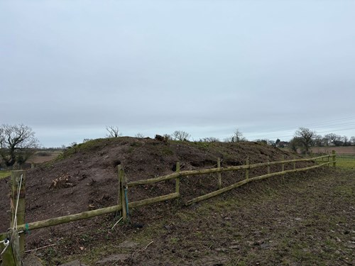 Tote Copse