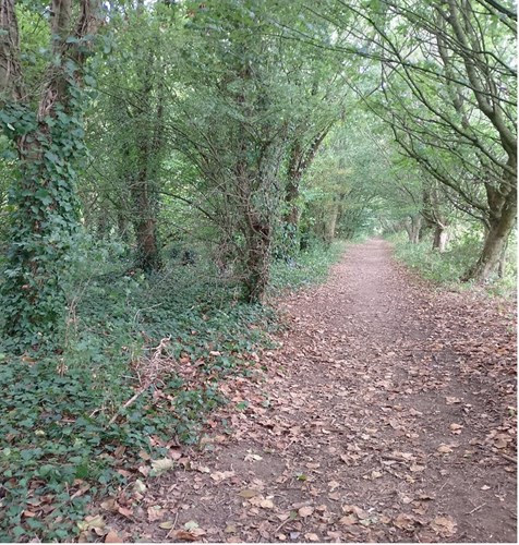 Lidsey footpath